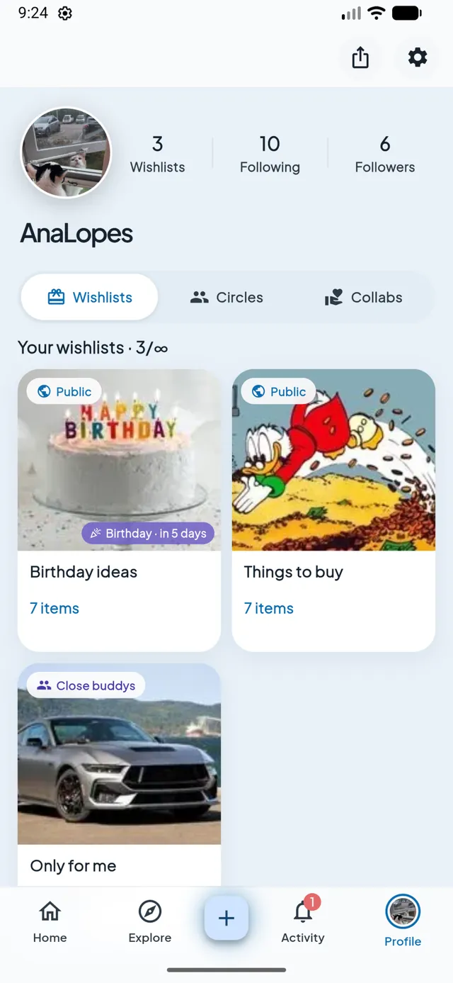 A Caelo profile with its wishlists